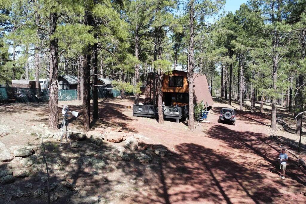 Grand Canyon Cabin! One Hour And 10 Minutes To The South Entrance! Williams Exterior foto