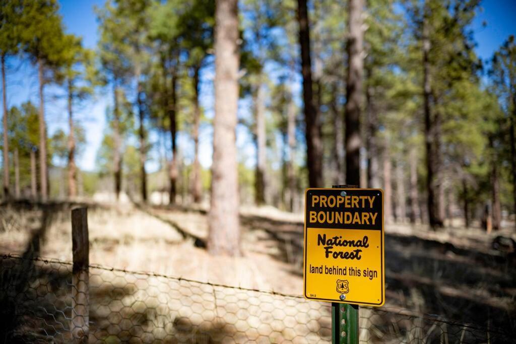 Grand Canyon Cabin! One Hour And 10 Minutes To The South Entrance! Williams Exterior foto